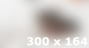 Connecting Pet Lovers