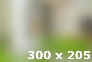 Interior Green Design