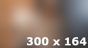 Wildlife Capturing Times