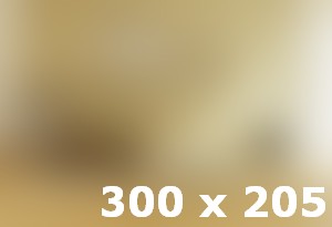 Wooden wall house interior